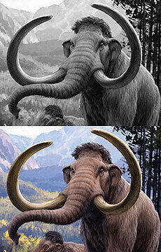 extinction